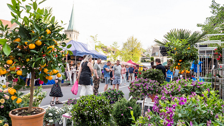 Photo 1 to Lüdinghauser Frühling