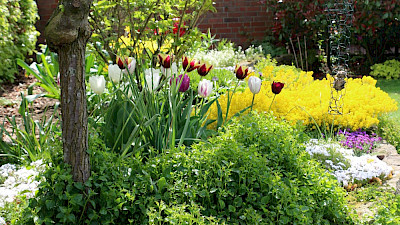 Foto 1 zu Tag der Gärten und Parks