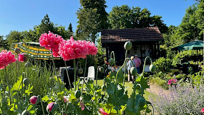 Foto 4 zu Tag der Gärten und Parks