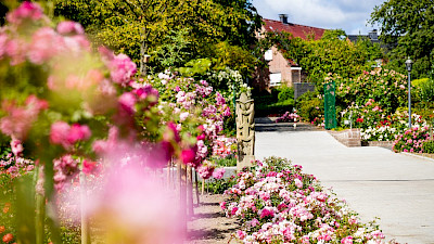 Foto 6 zu Tag der Gärten und Parks