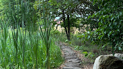 Foto 7 zu Tag der Gärten und Parks